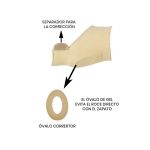 Comodihallux - Image 2